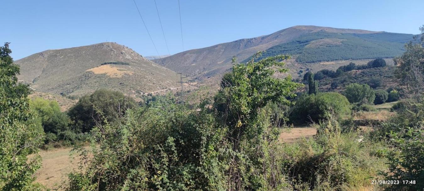 La Pasailla De Gredos Guest House Navacepeda de Tormes Ngoại thất bức ảnh