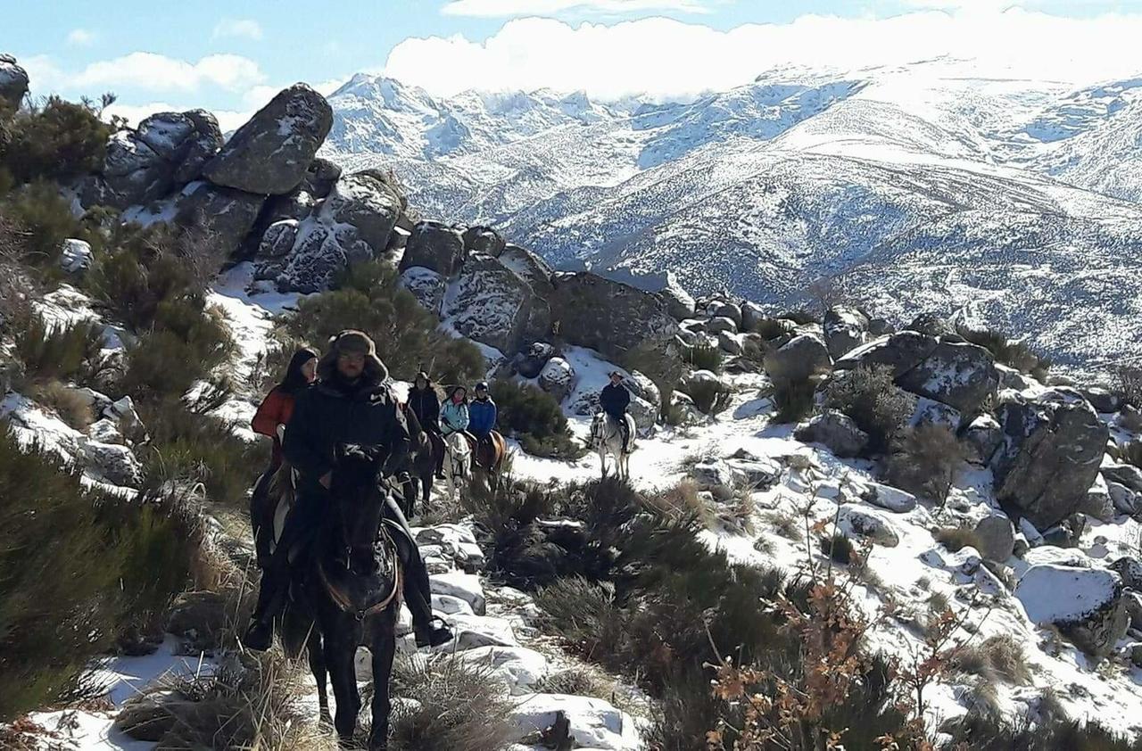 La Pasailla De Gredos Guest House Navacepeda de Tormes Ngoại thất bức ảnh